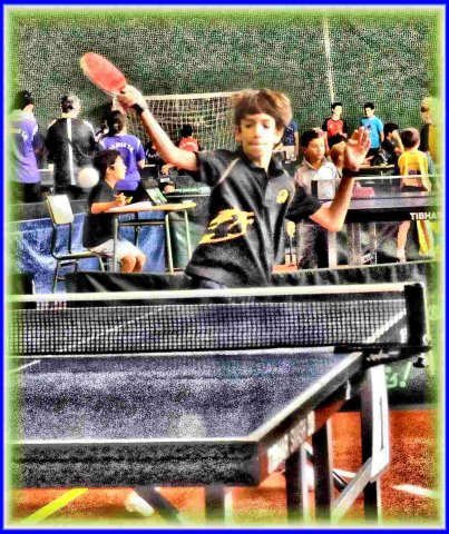 Torneo de Vincios 2011